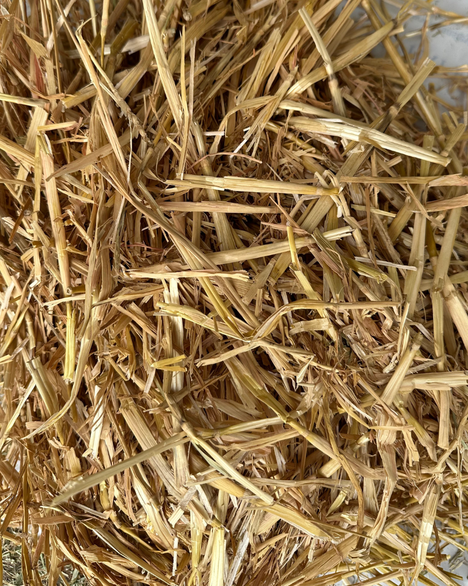 Cosy Bed Long Straw