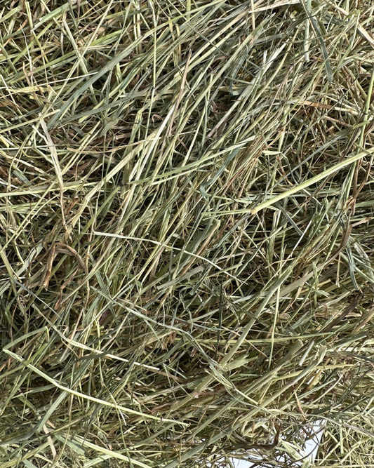 Soft & Sweet Meadow Hay